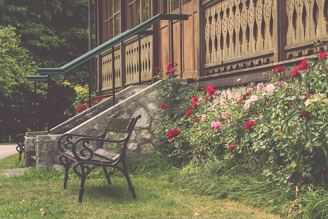 布朗打成辽宁第一外援！无球有球随意拿捏，三分精准，可重用！